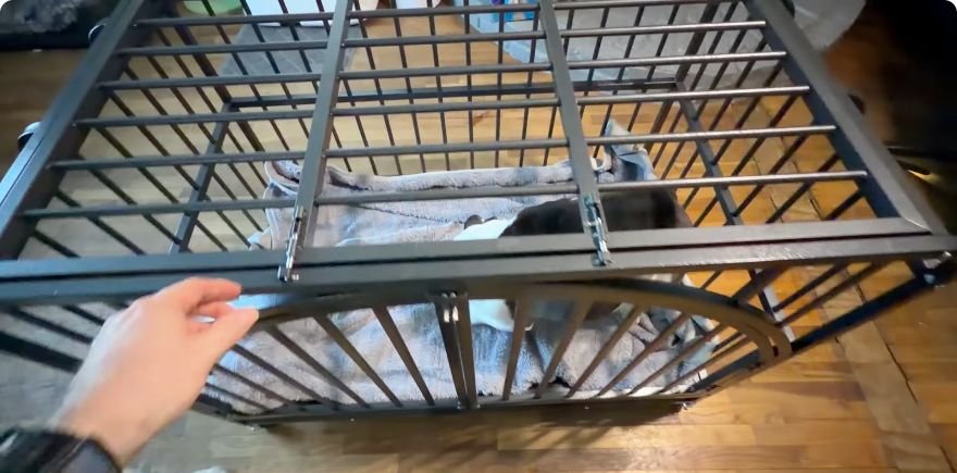 My bulldog inside the assembled French door crate during the opening-top demonstration